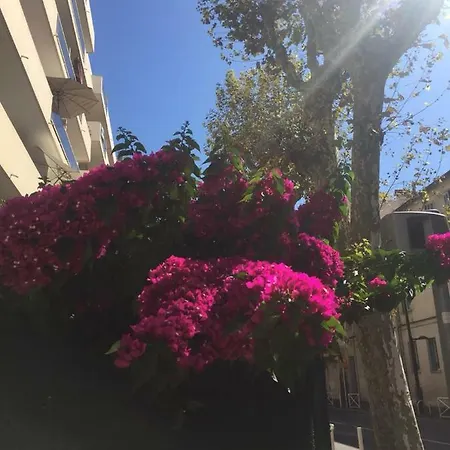Apartment Jardins Du Pont Du Lys